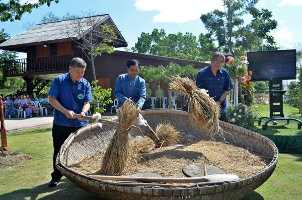 สถาบันวิจัย และพัฒนาพื้นที่สูง ร่วมกับ กรมการข้าว แจกจ่ายข้าวพระราชทาน จำนวน 5,000 ซอง เนื่องในวันพืชมงคล 